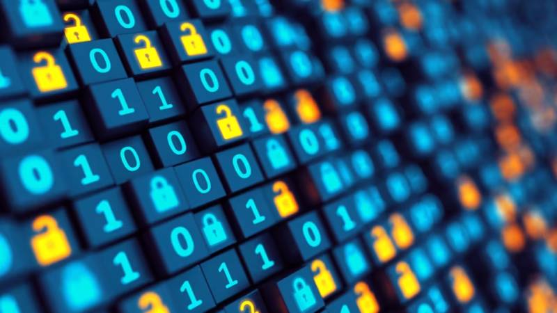 甘洛县软件开发：以硬核实力，筑工业数字基石